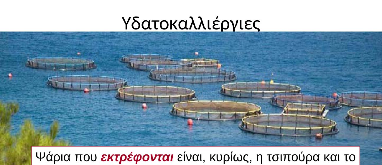 Υδατοκαλλιέργειες
